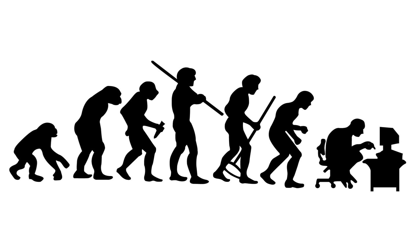 Теория эволюционного несоответствия 4 : Серые Лебеди