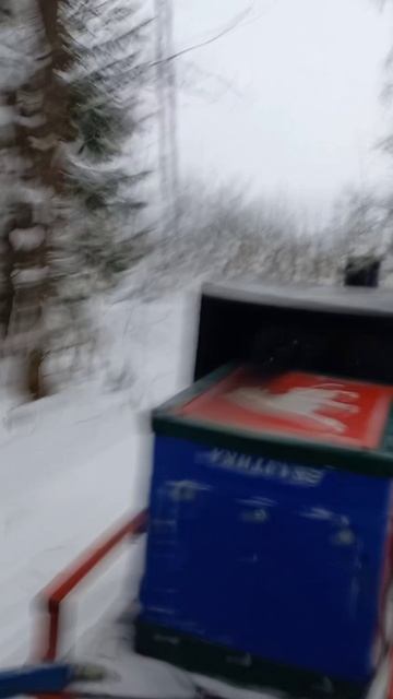 По лесу на мотобуксировщике