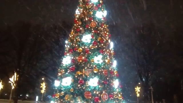 Танец зимы. Сергей Чекалин. Winter Dance. Sergey Chekalin.