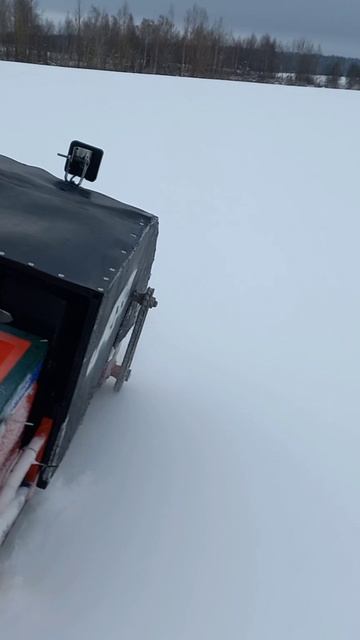 Покатушки по пухляку на мотособаке