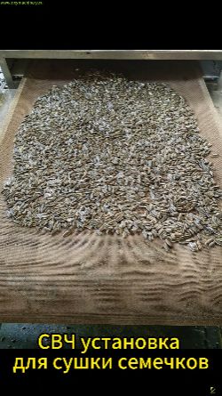 Микроволновая сушка семян подсолнечника и масличных культур #свч #семечки #рапс #арахис #кунжут #dxy