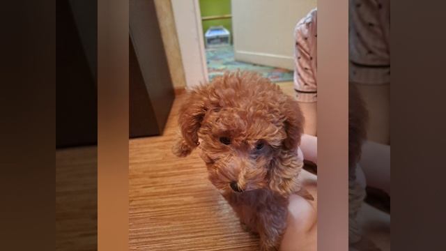 Мне поставь лайк