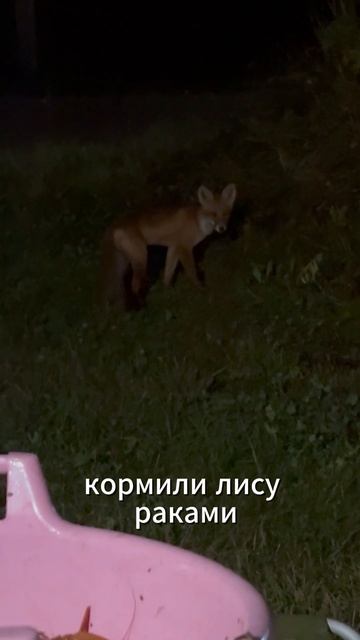 Рыбалка в Карелии