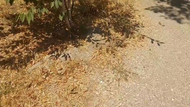 Влог августа 2025 .Последний день на море