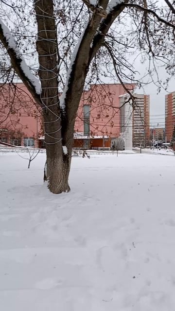 г. Чехов, сквер им. Чехова, накануне Рождества