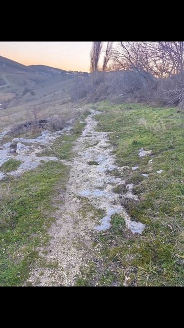 Моя прогулка