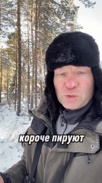 Пришли Волки напали на Медведя