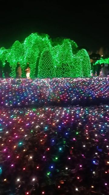 Новогодняя красота в парке Галицкого