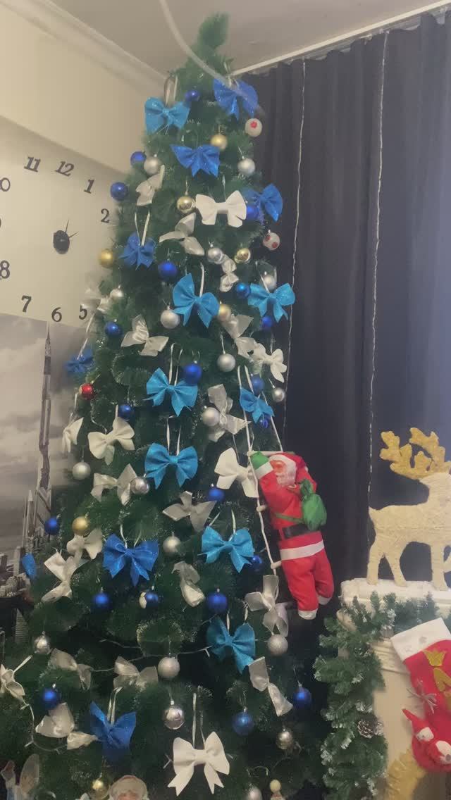 Следы деда Мороза.