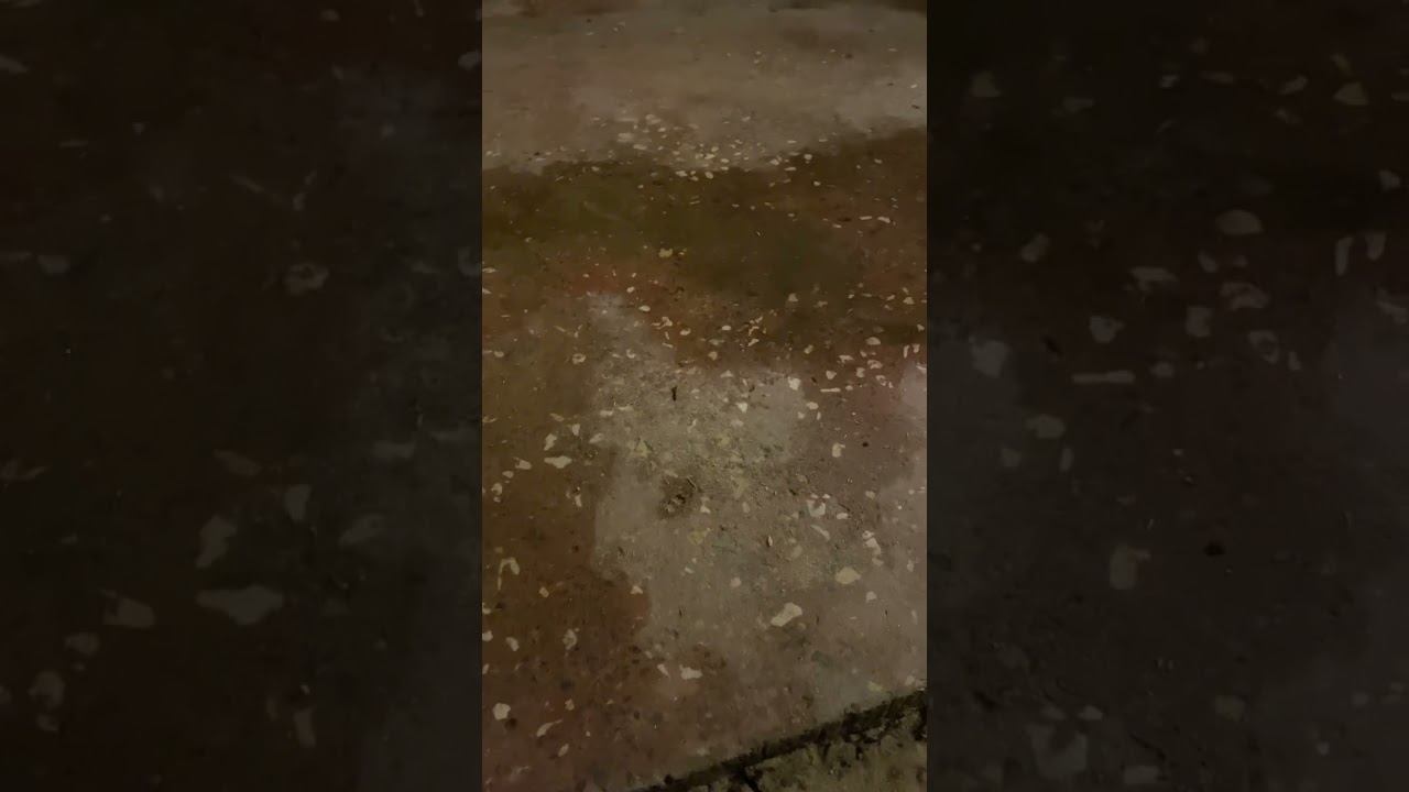 Стяжка-плита  под мангал 15 м2, толщина 10 см, бюджет равно премиум #стяжкка #мангал  #стройка