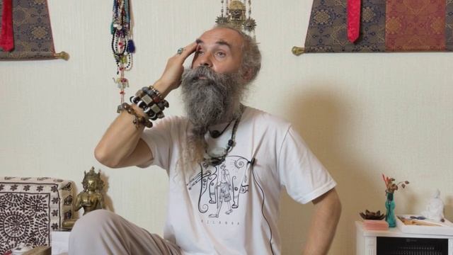 Желания. Сатсанг. Дмитрий Михайлов