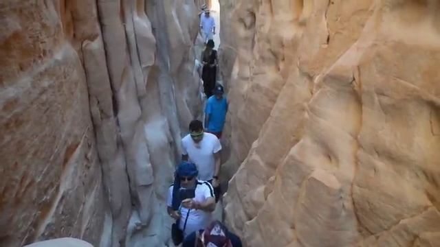 Nomad Safari Египет 2025