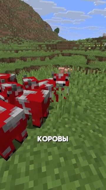 САМАЯ МИЛАЯ ОБНОВА