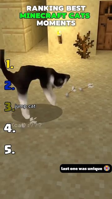 Котики в майнкрафт моменты!