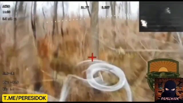 сВо?? Эдит???