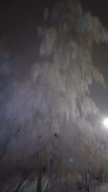 зимняя сказка