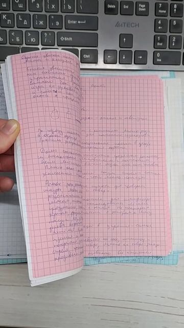 Рукописные черновики к роману 