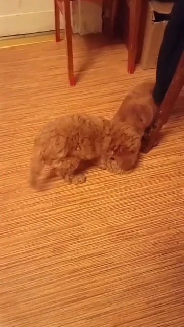 на тренировке