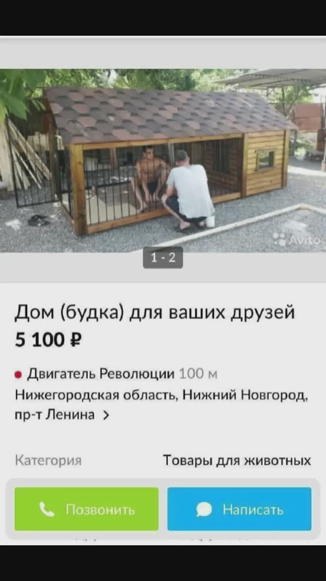 СМЕШНЫЕ ОБЪЯВЛЕНИЯ АВИТО!#мемы #приколы  #авито #подпишись #like #смешные #смех #смешные #юмор