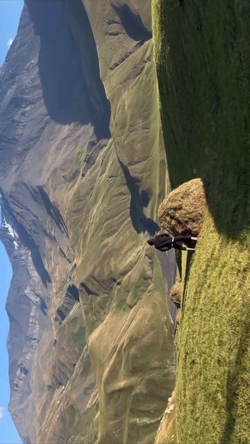 Простор Курушских гор