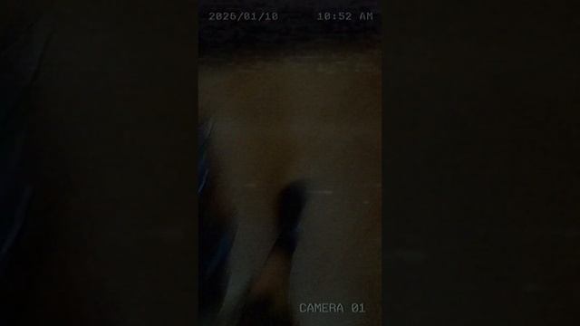 A4d60c65aa566beb10f9513385c03900