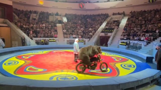 Цирковая программа Нижний Тагил