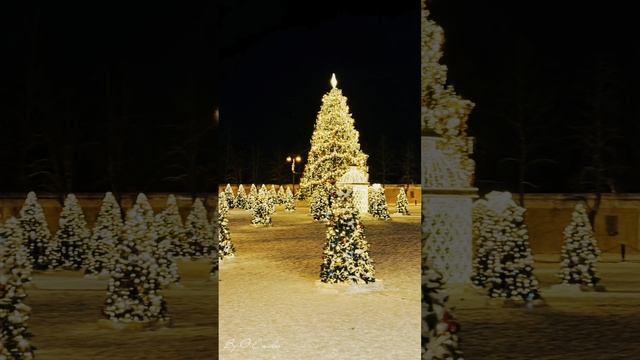 Новогодний Петербург 2026!
#НовыйГод #Питер #2026