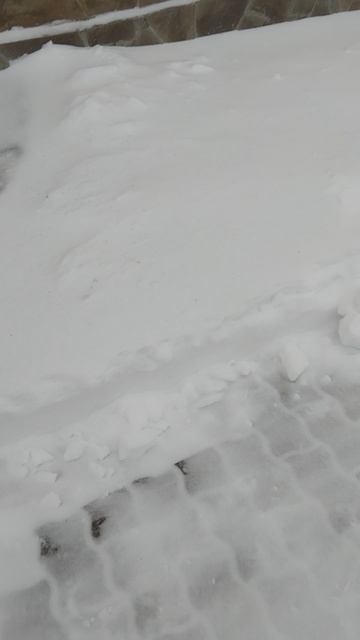 Подмосковье накрыл снежный ураган 09.01.26