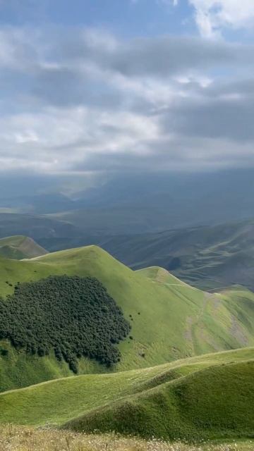 Красота и гармония