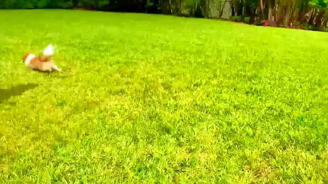 Настя и новые серии с любимыми подружками