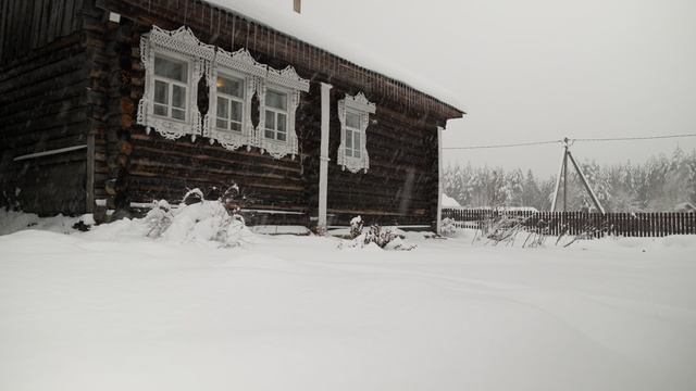 Чистый снег, заснеженный лес, деревня