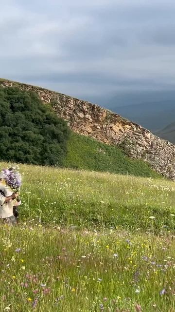 Идиллия летних дней