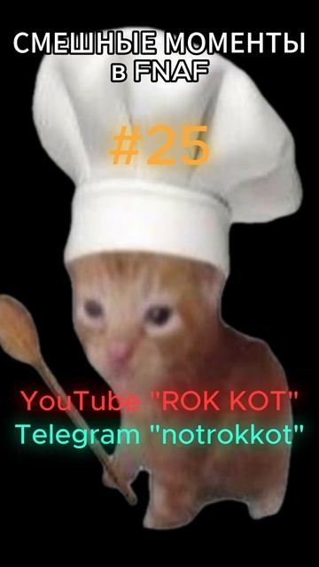тгк: Notrokkot