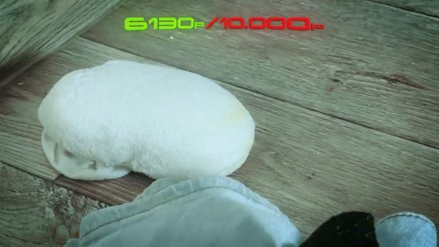 Я КУПИЛ САМЫЕ СТРАННЫЕ ОБЬЯВЛЕНИЯ НА АВИТО