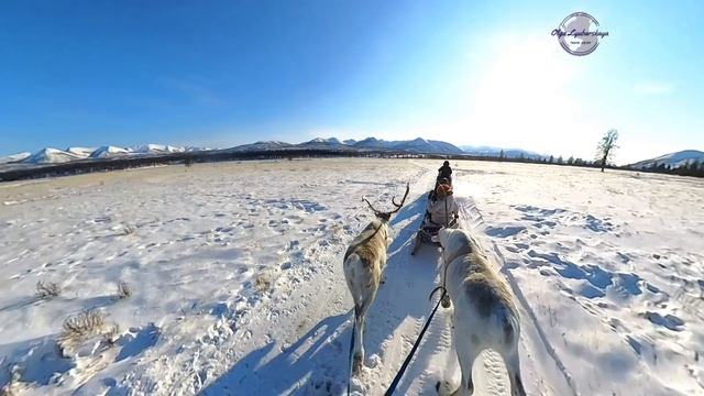 Мы поедем,  мы помчимся...