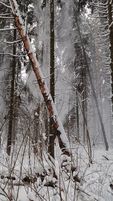 Эхх! Зимние красоты
