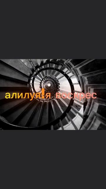 дз для моего тг канала