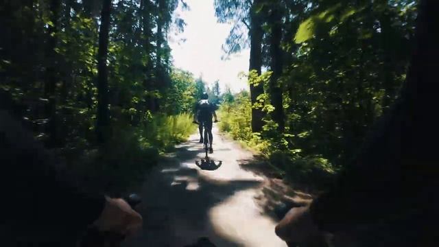 (49/17) Едем на секретную выставку под мостом