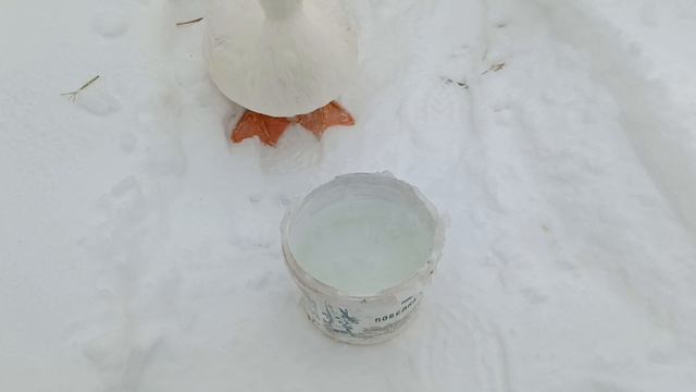 Френсис взял в заложники 🤦♀️ и заставил печь хлеб 🥖
