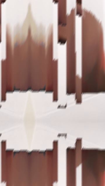 1000048759.mp4