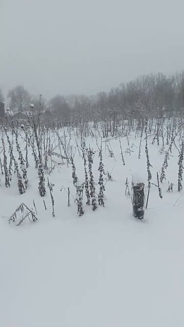 F927f9103afb051cdb565fc3a8a2f834