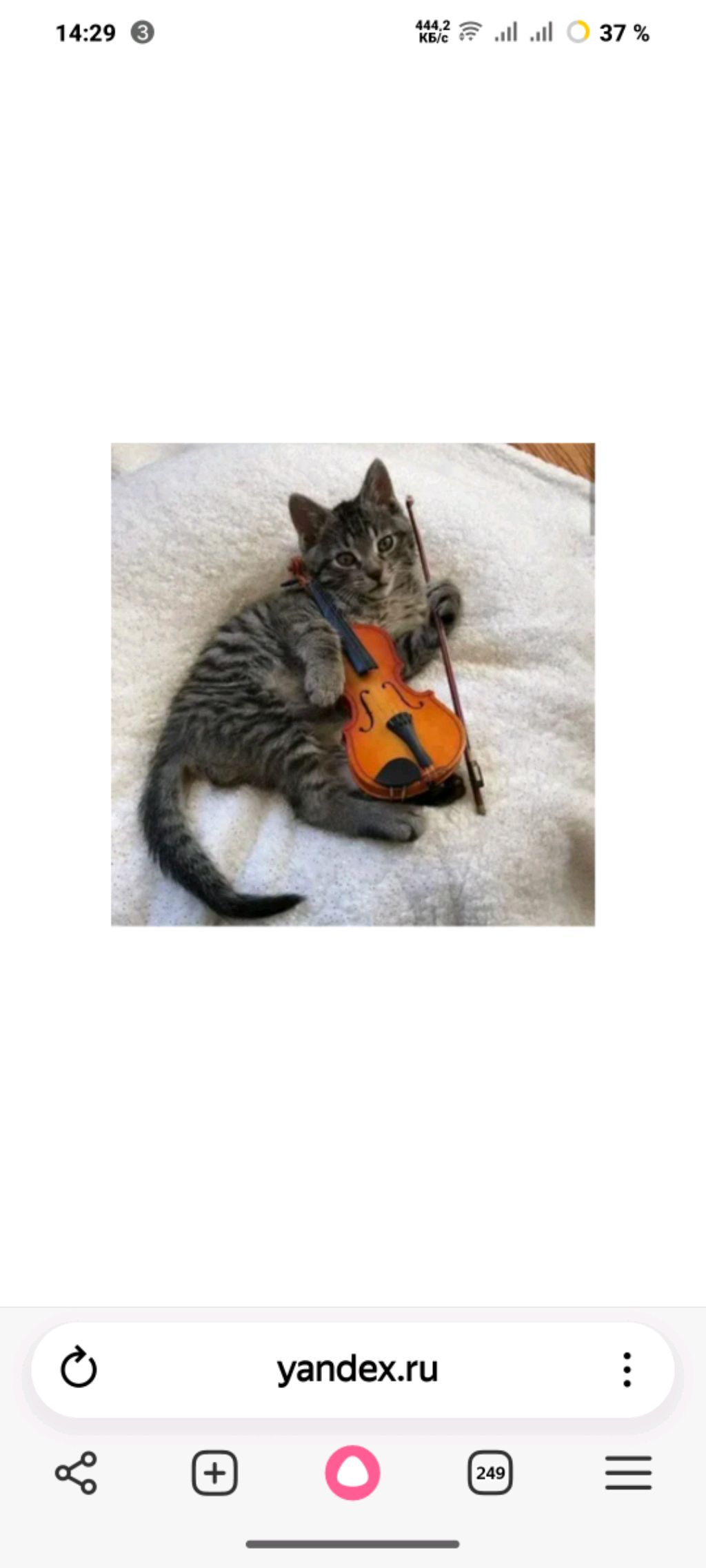 524ac03569523a7146af1af480404f60