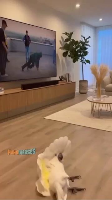 Одно утро, два настроения...