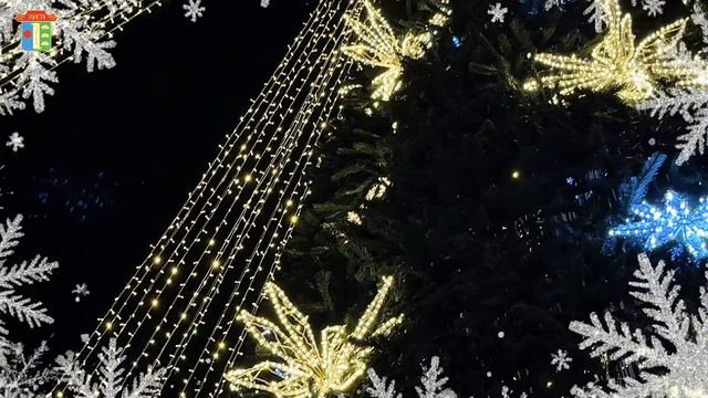 Поздравление с Новым 2026 годом от Главы города - Председателя ЭГС Максима Сорокина.