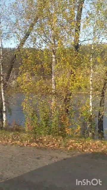 Дальнобойщики