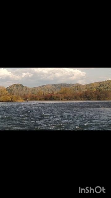 Ты неси меня река