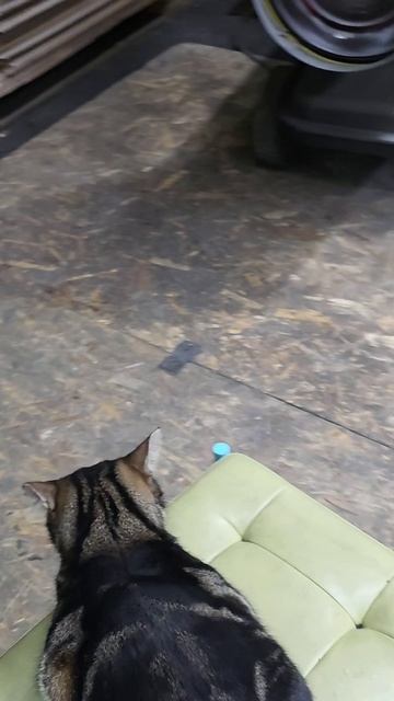 Кончились выходные