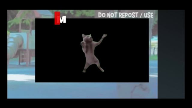 Реальный мем VS мем из чг