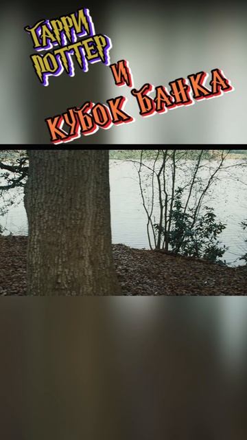 Гарри Поттер и Кубок банка #поттер #банк #гаррипоттер #реклама