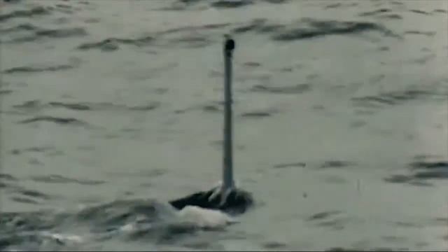 DFHMF – НА ДНЕ